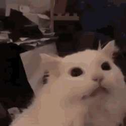 94f0653d30bd368e5dfe492f0f60e01e.gif