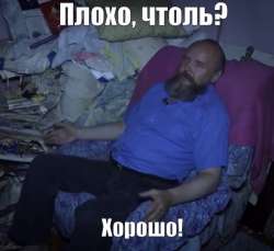 гифки-пустыня-озеленение-Китай-5340505.png