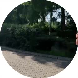 video (1).mp4