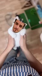 .mp4
