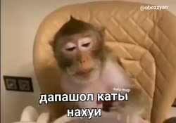 doc2024-10-0208-21-17.mp4