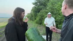 сунул в ротик огромный.... I Gilticus.mp4