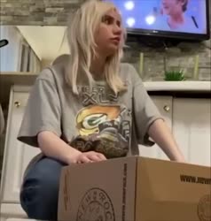 1750238150472.mp4