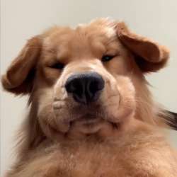 channels4profile.jpg