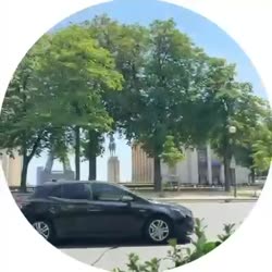 video (2).mp4