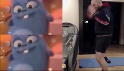 231312.mp4