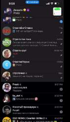 IMG7984.jpeg