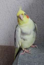 IMG20250618170639~2.jpg
