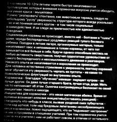 IMG20200409042751.jpg
