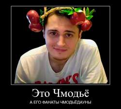 17327144254641.png