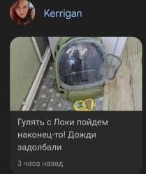 Screenshot20250619132135Chrome.jpg