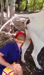 17502605763140.mp4