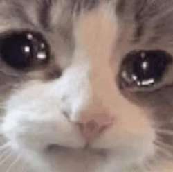 iBccKIdQc1U.jpg