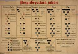 Нюрнбергскиерасовыезаконы.jpg