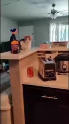 jop.mp4