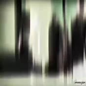 IMG1919.MP4