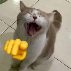 17123907742060.png