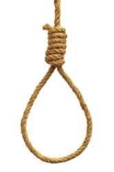 hanging-noose-white-background525574-2283.jpg
