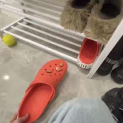 IMG8083.jpeg