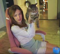 Снимок экрана 2025-05-13 050621.png