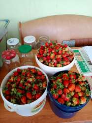 IMG-20250619-WA0000.jpg
