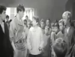 videoplayback(1) (2).webm