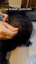 9878965.mp4