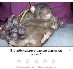 IMG20250613162526407.jpg