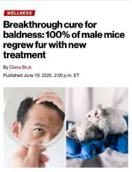АААААААААААААААААА.jpg