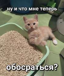 IMG20250618115342814.jpg