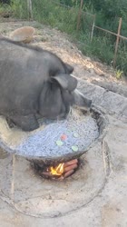 video2025-06-2011-47-34.mp4