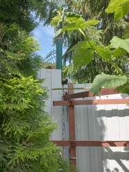 IMG20250621101333.jpg