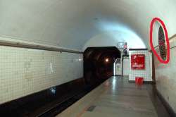 17505499207650.jpg