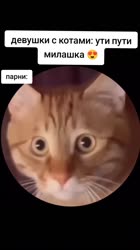 VID20250621134646706.mp4