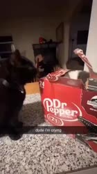 Dr Pepper.mp4