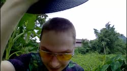 17284540861750.mp4