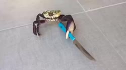 CUNBERS.webm