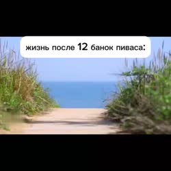 1.mp4