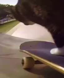 111.mp4
