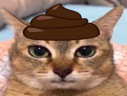 17256553355150.png