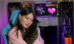 cat2.jpg