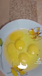 16855948374830.mp4