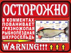 шкуросельдь.png