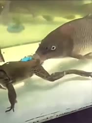 17498972589380.mp4