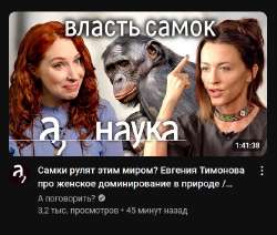 изображение.png