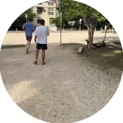 video1.mp4