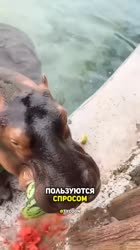 17510920032750.mp4