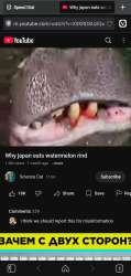 1751125638260.jpeg