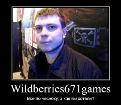 Wildberries671Games.jpg