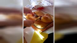 17340770421900.mp4